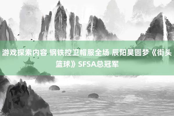 游戏探索内容 钢铁控卫帽服全场 辰阳昊圆梦《街头篮球》SFSA总冠军