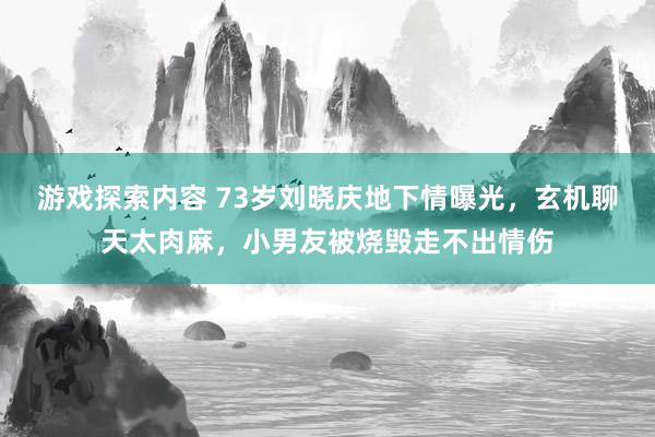 游戏探索内容 73岁刘晓庆地下情曝光，玄机聊天太肉麻，小男友被烧毁走不出情伤