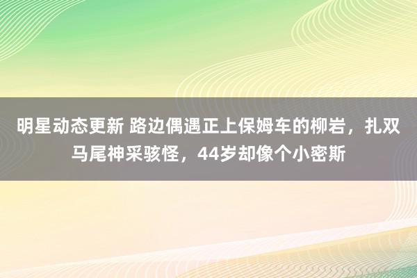 明星动态更新 路边偶遇正上保姆车的柳岩，扎双马尾神采骇怪，44岁却像个小密斯