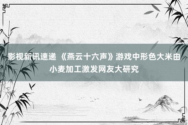 影视新讯速递 《燕云十六声》游戏中形色大米由小麦加工激发网友大研究