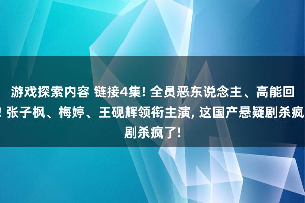 游戏探索内容 链接4集! 全员恶东说念主、高能回转! 张子枫、梅婷、王砚辉领衔主演, 这国产悬疑剧杀疯了!